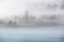 Picture of ALASKA FOG II