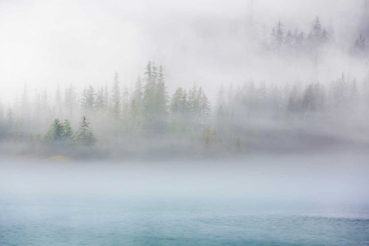 Picture of ALASKA FOG II