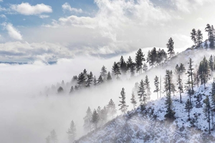 Picture of DAGGETT PASS I