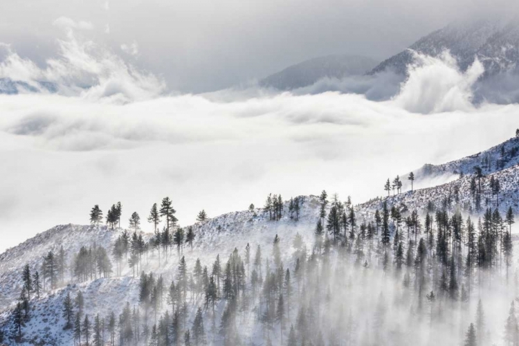 Picture of DAGGETT PASS II