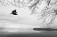 Picture of SEABECK WINTER I