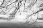 Picture of SEABECK WINTER II