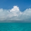 Picture of TROPICAL SEASCAPE II