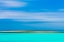 Picture of TROPICAL ABSTRACT IX