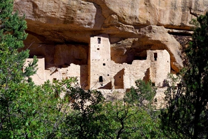 Picture of CLIFF DWELLING AT MESA VERDE
