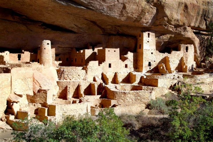 Picture of CLIFF PALACE PUEBLO