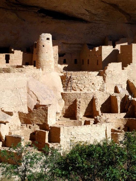 Picture of CLIFF PALACE PUEBLO PORTRAIT