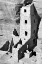 Picture of SQUARE TOWER HOUSE BW