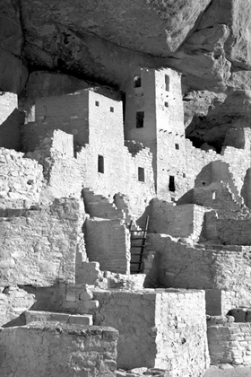 Picture of CLIFF PALACE DETAIL IV BW