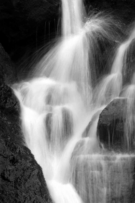 Picture of FALLING WATER IV BW