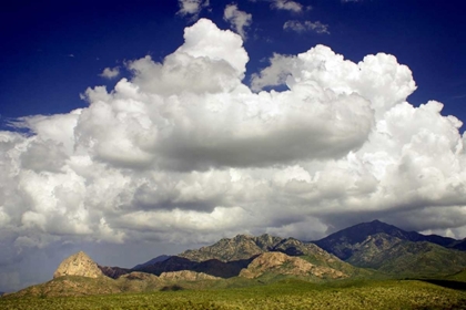 Picture of SANTA RITA MOUNTAINS IN AUGUST