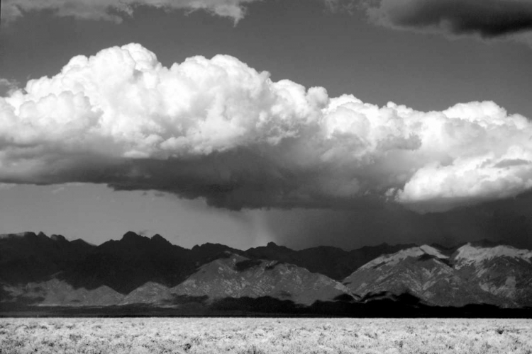 Picture of COOL COLORADO RAIN BW