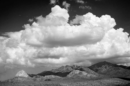 Picture of SANTA RITA MOUNTAINS IN AUGUST BW