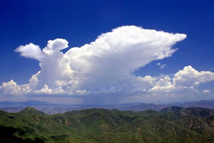 Picture of DISTANT RAIN