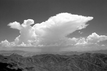Picture of DISTANT RAIN BW