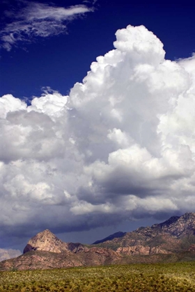 Picture of GATHERING SUMMER STORM