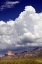 Picture of GATHERING SUMMER STORM