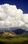 Picture of THE COMING STORM