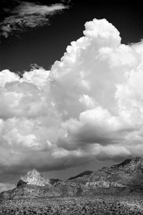 Picture of GATHERING SUMMER STORM BW