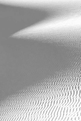 Picture of WHITE SAND DUNE AND SHADOW