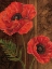 Picture of POPPY PORTRAIT II