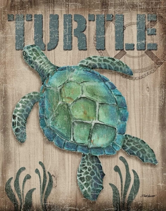 Picture of TURTLE