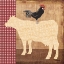 Picture of COW