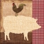 Picture of PIG