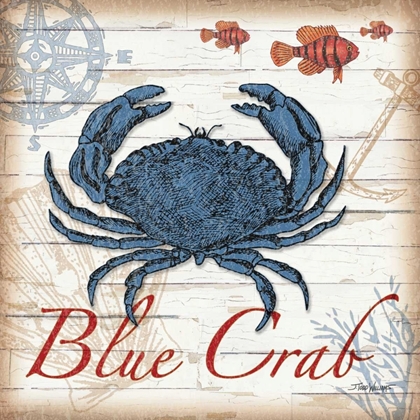 Picture of BLUE CRAB