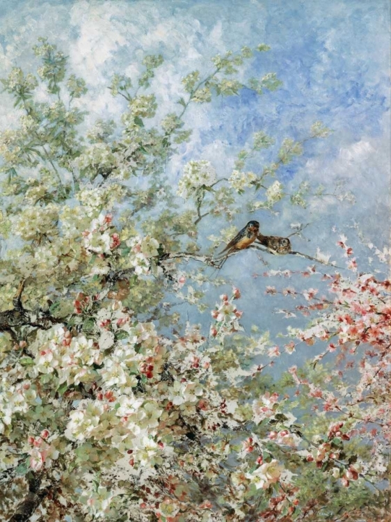 Picture of APPLE BLOSSOMS