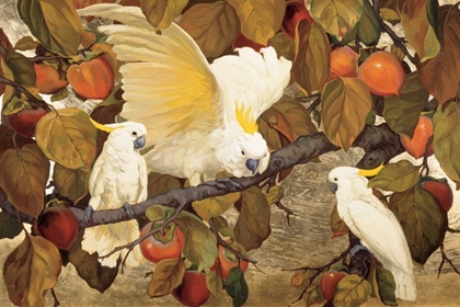 Picture of PERSIMMONS AND COCKATOOS