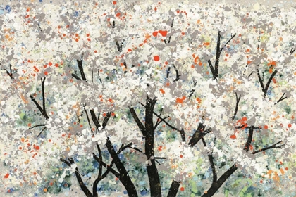 Picture of PEAR BLOSSOMS IN SPRING