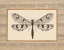 Picture of DELICATE DANCER III