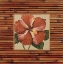 Picture of PACIFIC PARADISE A