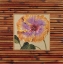 Picture of PACIFIC PARADISE B