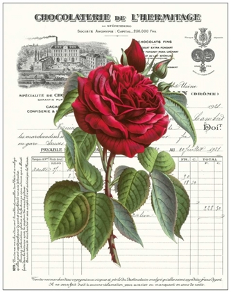 Picture of HEIRLOOM ROSES A