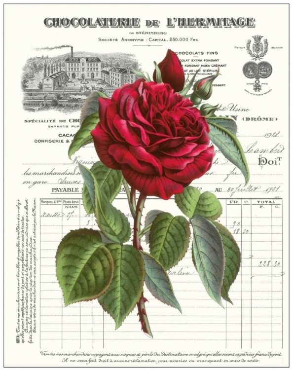 Picture of HEIRLOOM ROSES A