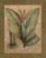 Picture of VALENCIA II