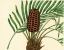 Picture of PALMETTO III