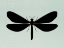 Picture of WIND SONGS IV