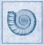 Picture of BLUE NAUTILUS B