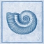 Picture of BLUE NAUTILUS D