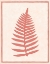 Picture of SILHOUETTE IN CORAL I