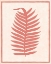 Picture of SILHOUETTE IN CORAL II