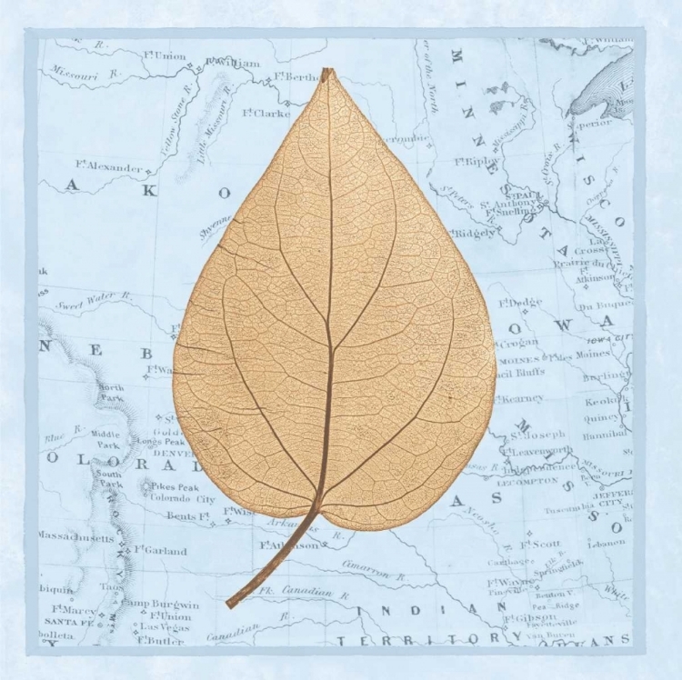 Picture of NATURES PROFILE D
