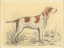 Picture of HUNTING DOGS-GRIFFON