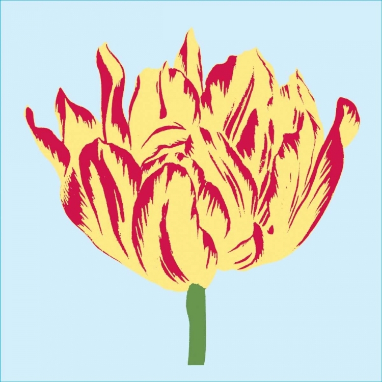 Picture of SOHO TULIP II