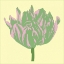 Picture of SOHO TULIP IV