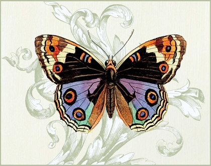 Picture of BUTTERFLY THEME I