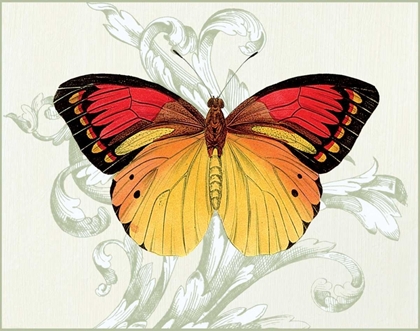 Picture of BUTTERFLY THEME III